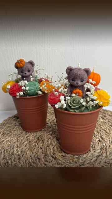 باکس گلدانی خرس کوچولو