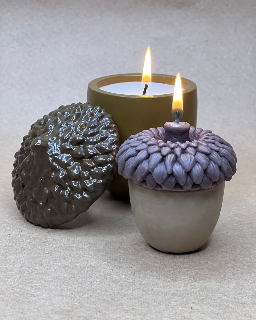 جاشمعی بلوط